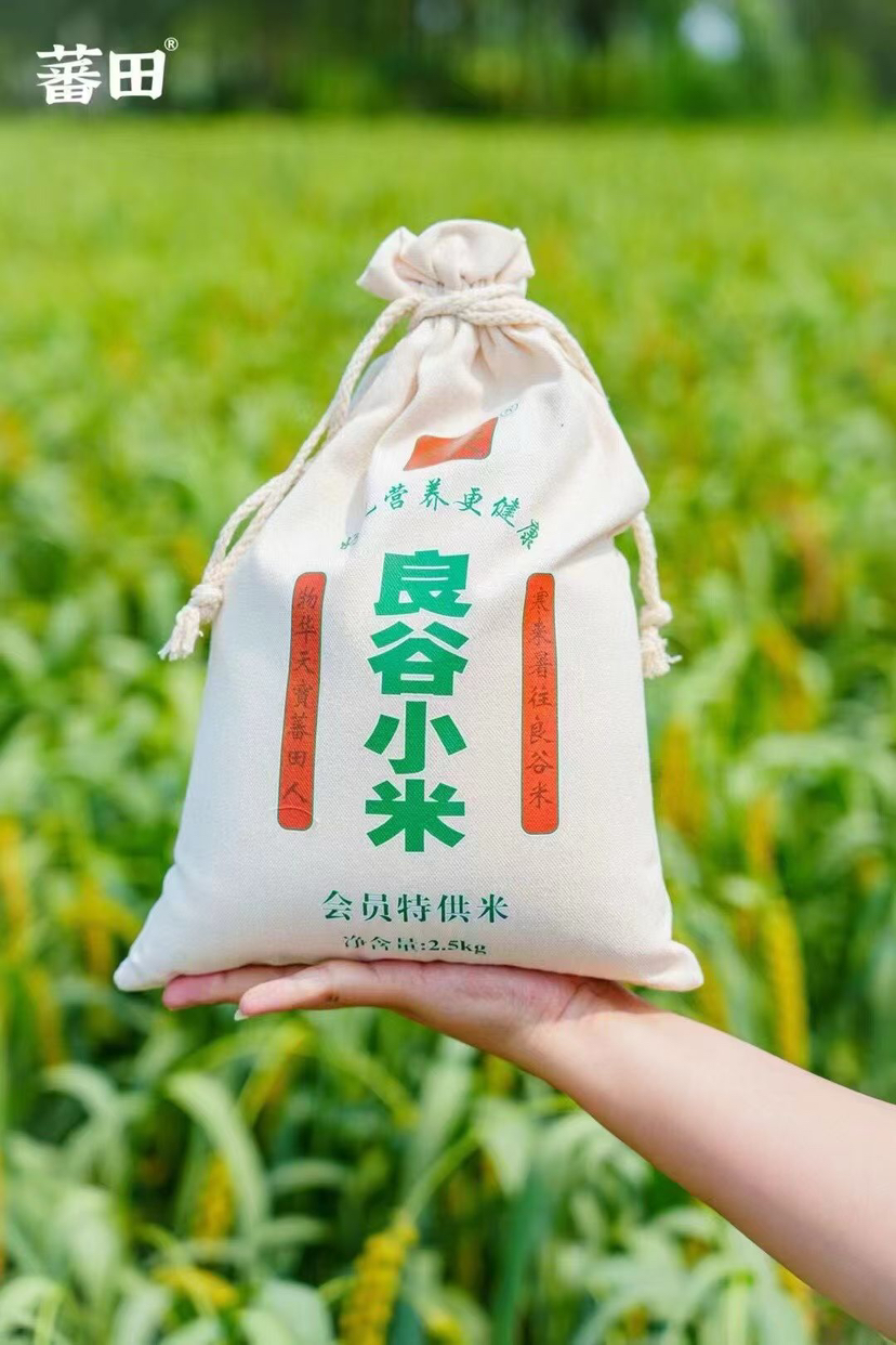 沂蒙山良谷小米