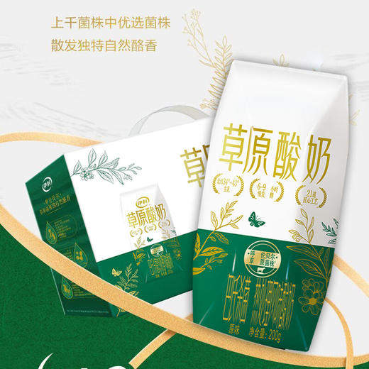 【特惠125.9】伊利草原酸奶200g*10+小胡鸭卤味时光6袋装616g【保质期至26-3】-专享价 商品图1