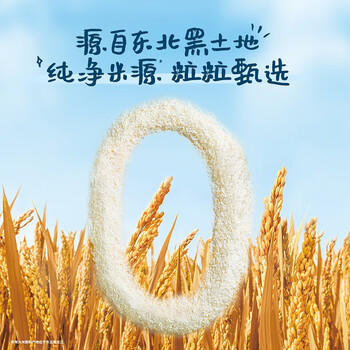 嘉宝高铁米粉婴幼儿辅食米糊原味250g 含DHA活性益生菌6月龄 商品图2