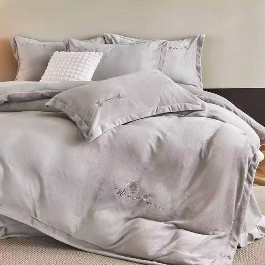 【满300减30】10楼恐龙 暖绒四件套 亦玫/200*230cm   吊牌价1380元   活动价299元 商品图2