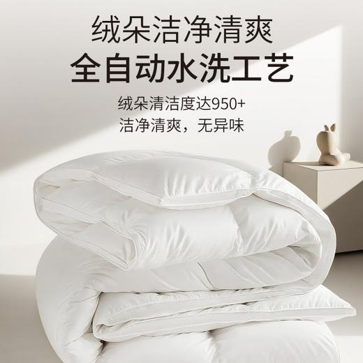 笙观相沐鹅绒被 95%绒子含量 大朵白鹅绒填充 高蓬饱满 轻盈保暖 商品图2