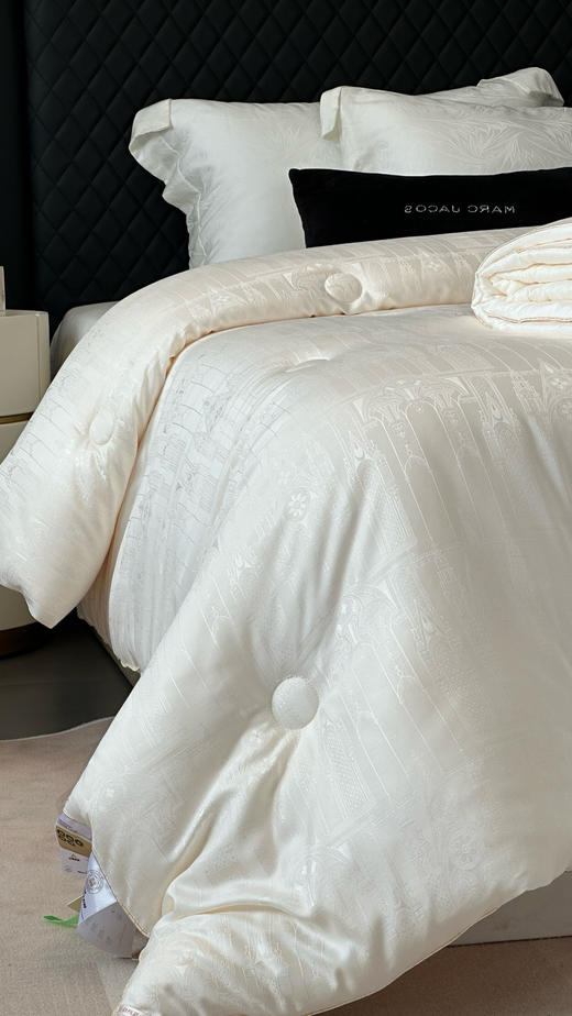 面料填充双升级！100支提花高端45%至臻大豆双蛋白被芯 原价1198加厚大豆被秋冬被 吸湿排汗抑菌 触感柔 贴身暖 商品图1