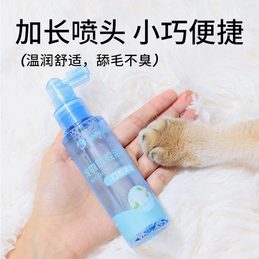 宠安仕口腔洁齿喷雾100ml 口腔护理 抑口臭可吞咽 宠物洁齿水 整箱=54瓶【全渠道销售】 商品图3