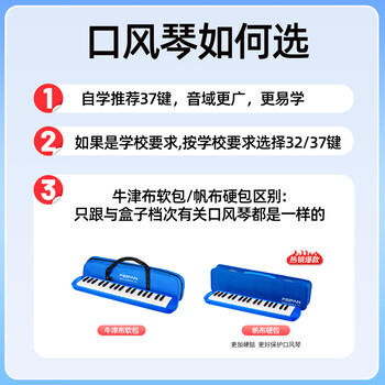 feifan飞繁 口风琴37键小学生专用儿童成人专业演奏级 蓝色硬包 商品图2