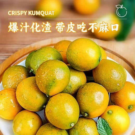 广西脆皮金桔皮脆无籽，纯甜清香，不涩不麻 商品图1