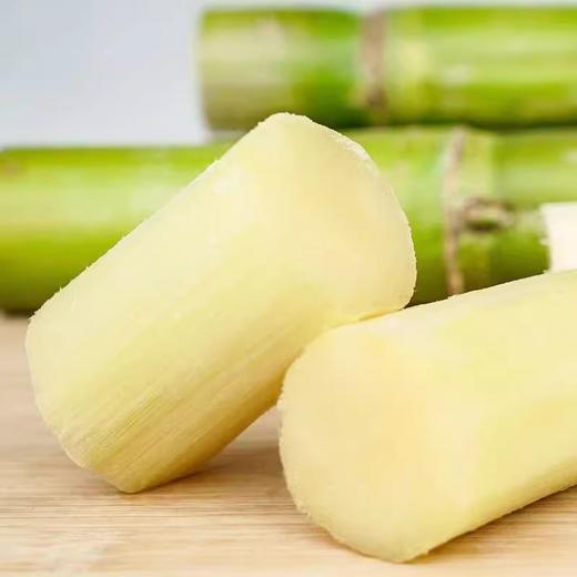 【顺丰发货】陶山甘蔗 精选中间段 现砍现发 脆甜多汁 商品图3