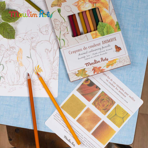 Moulin Roty 12色寰宇动物主题彩铅 适合3岁以上 高质量美术工具 寰宇动物系列 法国品牌-719101 商品图6