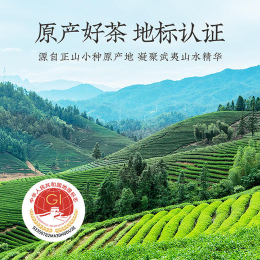 【传世红茶】去寻特级金骏眉红茶武夷山茶叶礼盒装高端送礼 净含量250g 商品图6