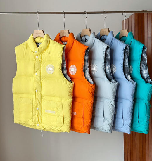 原价499特价大鹅羽绒马甲彩色 商品图4