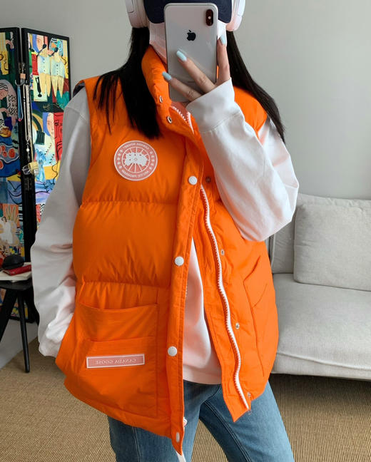 原价499特价大鹅羽绒马甲彩色 商品图3