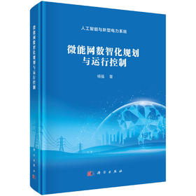 微能网数智化规划与运行控制