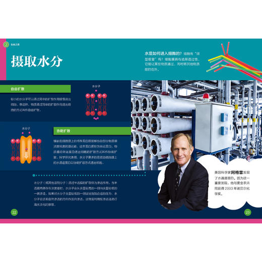 《了不起的化学》（全10册） 商品图4