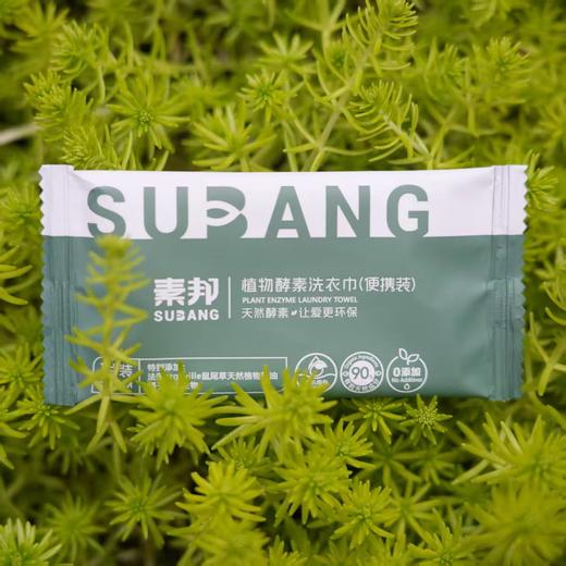 素邦植物酵素洗衣巾 商品图6