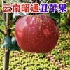 【云南昭通丑苹果】京东到家 香脆可口 清甜脆爽 果香浓郁 酸甜适中 细滑多汁  4种规格任选 商品缩略图8