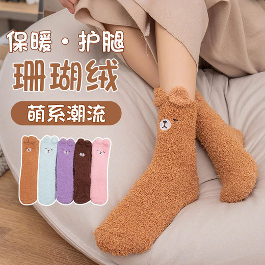 超暖和【锁住温度！告别脚冷】加绒加厚，袜新款刺绣地板袜子秋冬加厚保暖不掉毛珊瑚绒睡眠袜。rc 商品图0