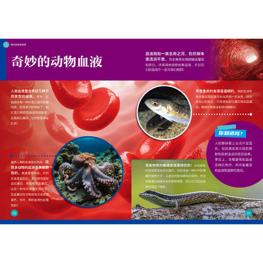 《了不起的化学》（全10册） 商品图6