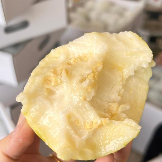 广西树熟奶油冰淇淋芭乐 【顺丰/京东发货，收到即吃，不用催熟】 商品图1