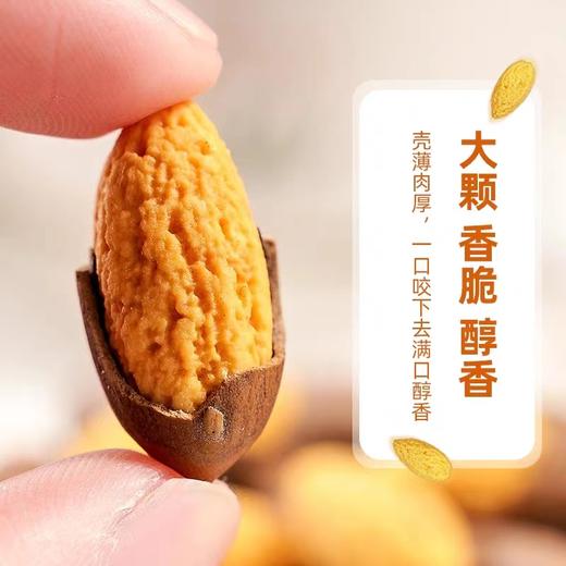 热卖！2025新货！“坚果中的爱马仕”硕果田间 头茬巴西松子/香榧子 大颗果仁 修长饱满 商品图7