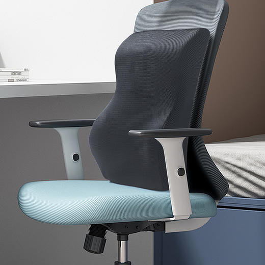 芳恩 3D透气高背腰靠 商品图0