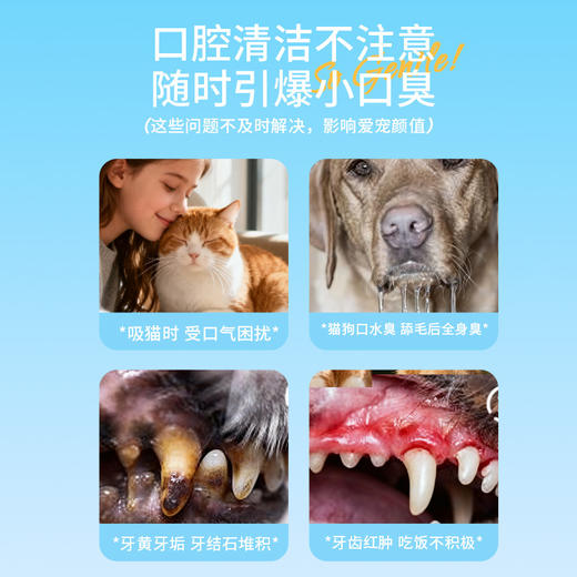 宠安仕口腔洁齿喷雾100ml 口腔护理 抑口臭可吞咽 宠物洁齿水 整箱=54瓶【全渠道销售】 商品图4
