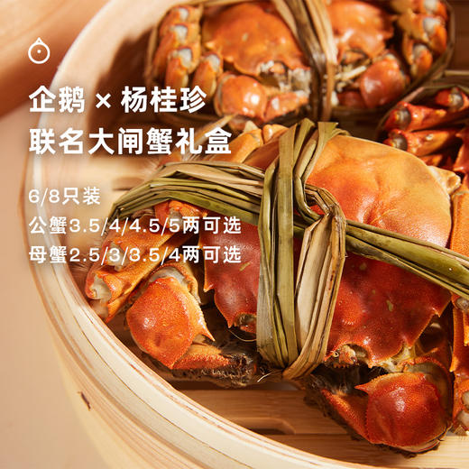 企鹅吃喝 x 杨桂珍联名 太湖大闸蟹礼盒包装  鲜活螃蟹 多规格可选 商品图0