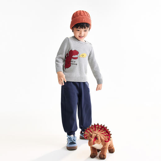 【实体店同款】男童圆领长袖针织衫冬季新款安奈儿童装XB544019 商品图3