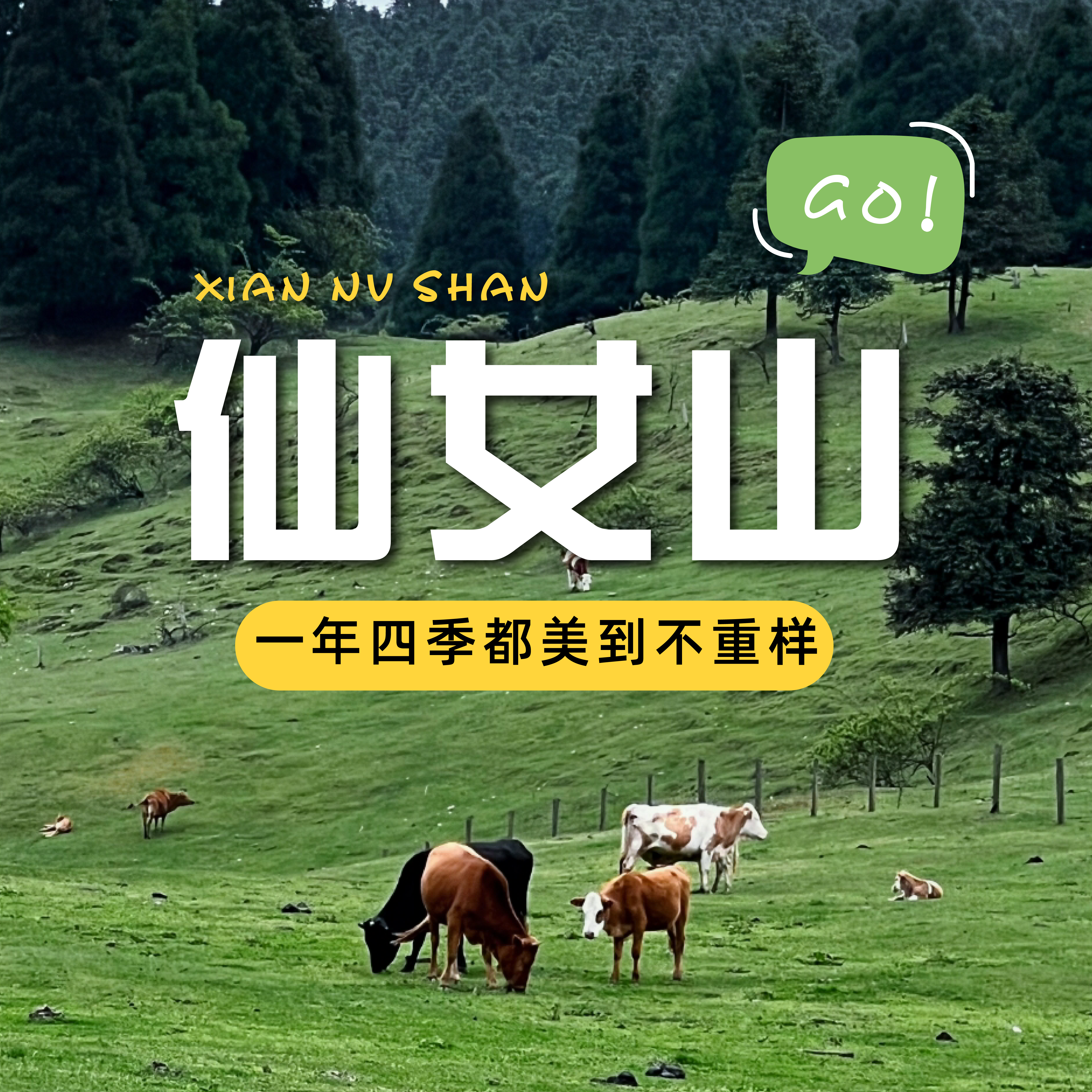 【武隆一日游】 💰128包含往返大巴车+景区门票+保险+行车助理~