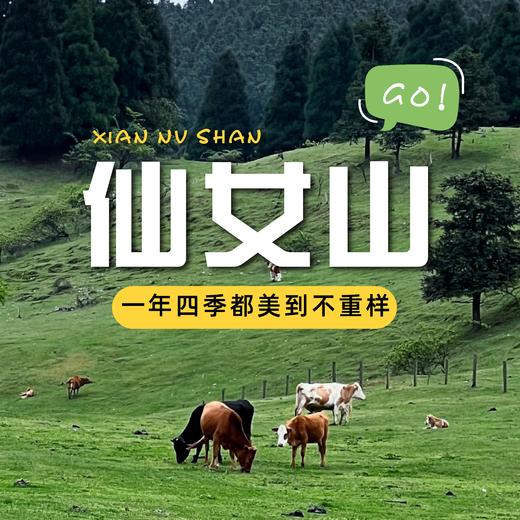【武隆一日游】 💰128包含往返大巴车+景区门票+保险+行车助理~ 商品图0