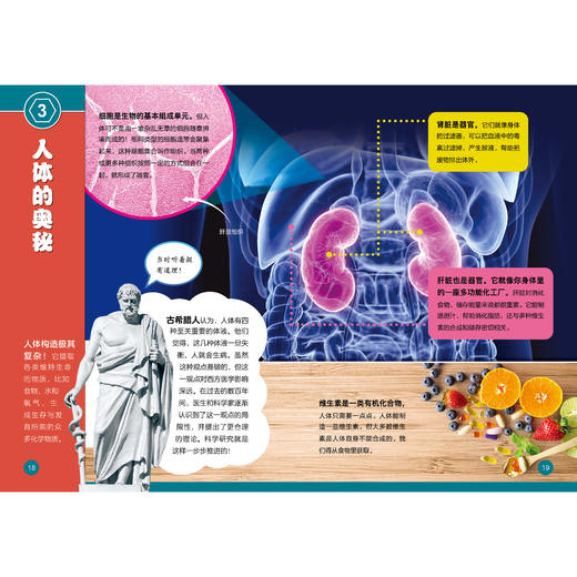 《了不起的化学》（全10册） 商品图7