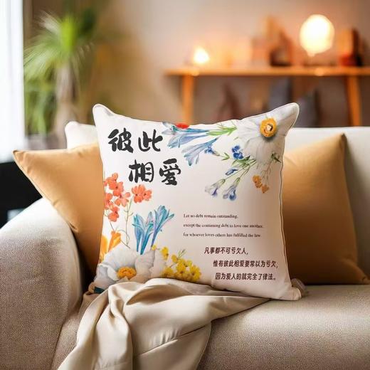 短毛绒美好话语抱枕 商品图3