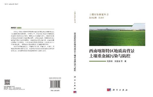 西南喀斯特区地质高背景土壤重金属污染与防控 商品图3