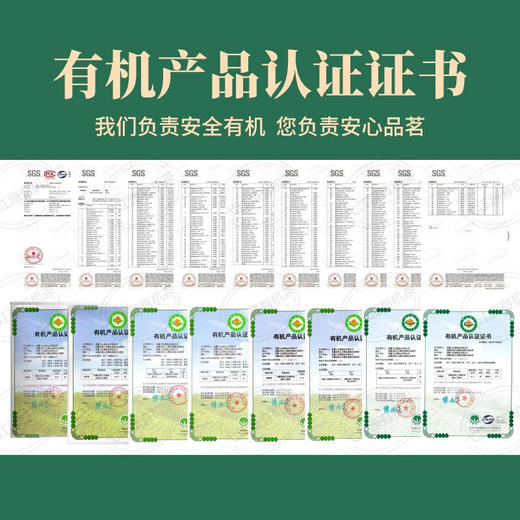 黟山石墨茶 有机石墨绿茶3.85克*13=50g 商品图1