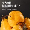 山东中华丑梨  丑萌的小可爱，软糯香甜 汁多味美 商品缩略图4