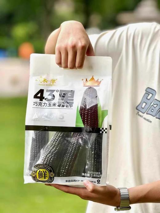 一沐一草鲜糯玉米 商品图7