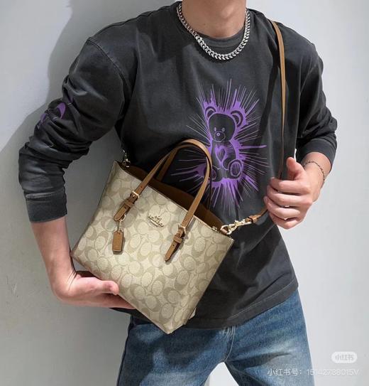 D102057等比例缩小版托特包Mollie Tote小号斜挎手提包 商品图5