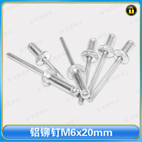 〖B598〗铝铆钉M6x20mm