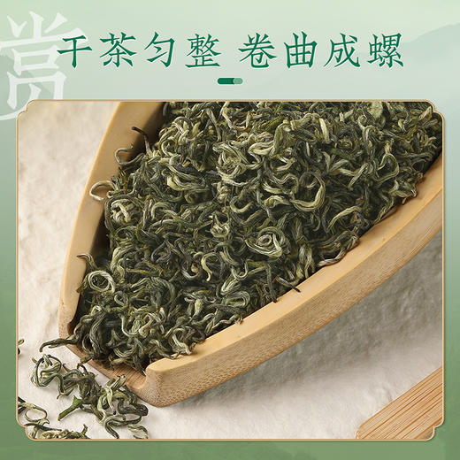 【碧螺翠韵】去寻早春碧螺春明前茶叶礼盒装 净含量250g 商品图2