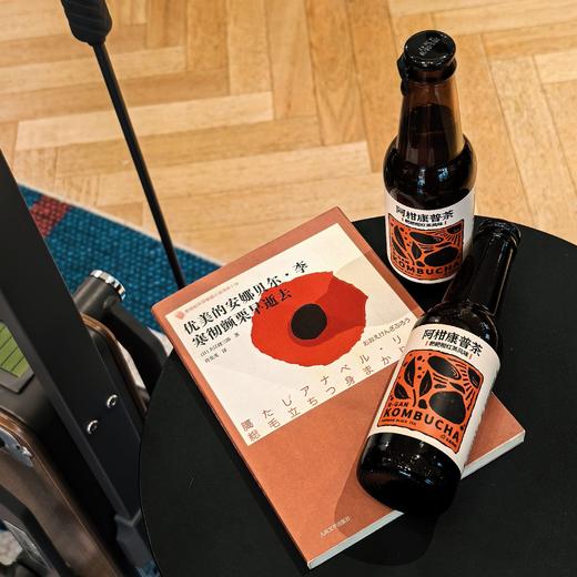 [屁侠推荐]丑美阿柑耙耙柑红茶康普茶 全生态有机 气泡感柔和顺口 230ml*6瓶装 商品图0