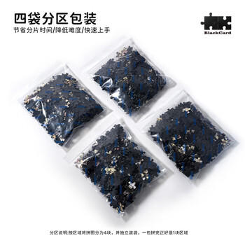 botopCathedralCat教堂猫拼图1000片进口黑卡闪光减压玩具生日圣诞礼物 商品图4