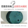 LARGE 饮水机清洁泡腾片5g×20片 盒 商品缩略图6