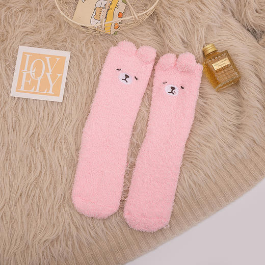 超暖和【锁住温度！告别脚冷】加绒加厚，袜新款刺绣地板袜子秋冬加厚保暖不掉毛珊瑚绒睡眠袜。rc 商品图4