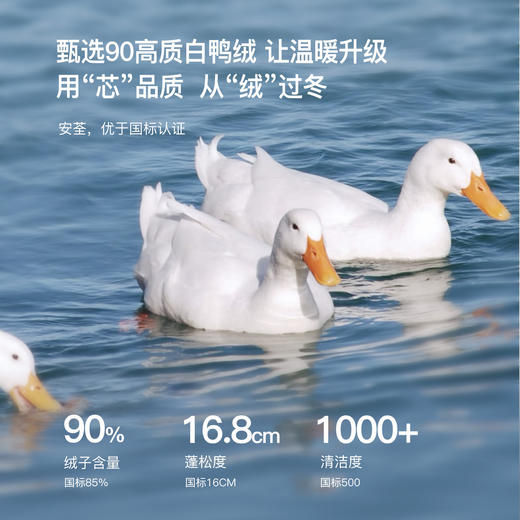 【年货节】熙世界轻运动风派克羽绒服女短款2025冬季新款休闲连帽白鸭绒外套 商品图2