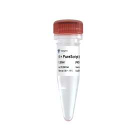 PureScript III 1st Strand cDNA Synthesis Kit (Low Nucleic-acid Contamination)