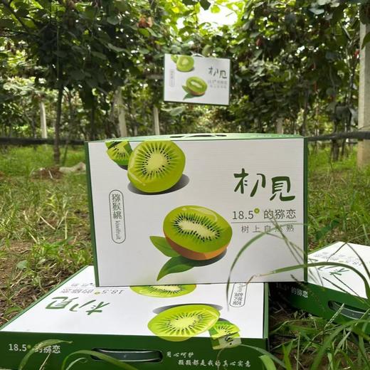 徐香猕猴桃 商品图8