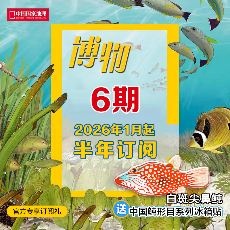 《博物》2026年1月起 6期订阅 包邮