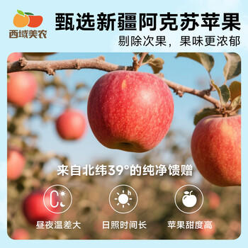 西域美农鲜蒸苹果干128g*2 低脂高纤维0添加剂 新疆阿克苏冰糖心果 /休闲食品 /蜜饯果干 /苹果干 商品图1
