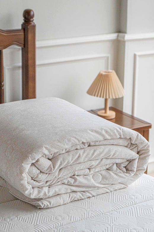 金鹰、久光、skp在售——限量破价148抢❗专柜售价1380起❗商场高端线❗德国百年贵族品牌【舒雅生活SCHIESSER  LIVING大豆被】降温刚需❗ 商品图4