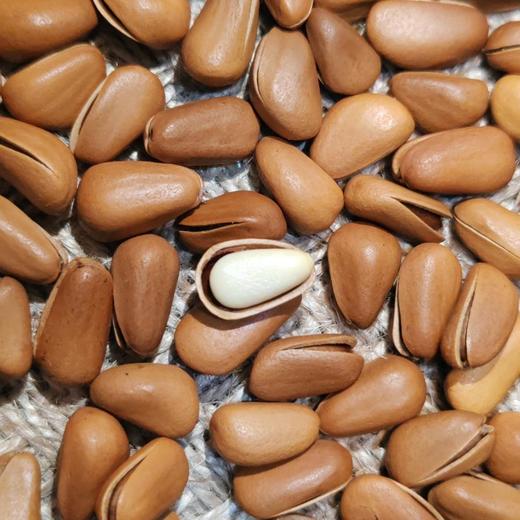 山苑开口红松子大粒特大粒松子王250g 商品图6
