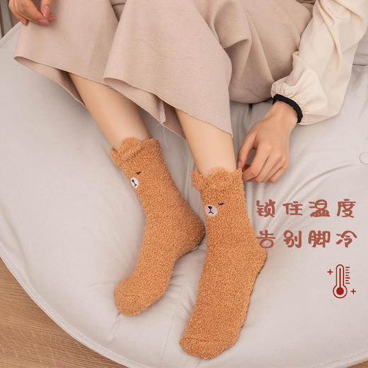 超暖和【锁住温度！告别脚冷】加绒加厚，袜新款刺绣地板袜子秋冬加厚保暖不掉毛珊瑚绒睡眠袜。rc 商品图1
