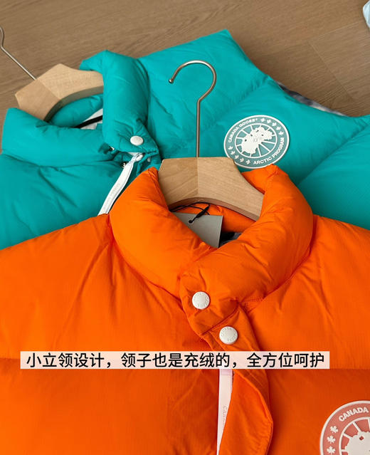 原价499特价大鹅羽绒马甲彩色 商品图8
